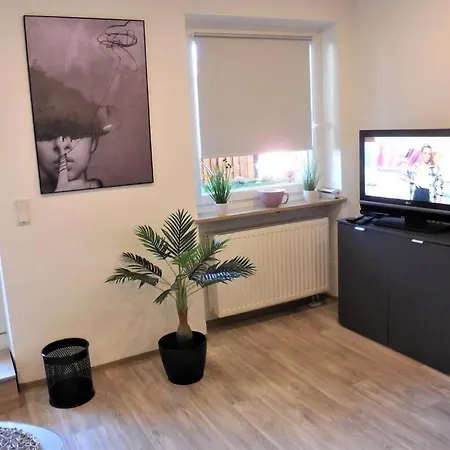 Apartment, Heika, 2 Zimmer, Terrasse, Wlan, Форххайм
